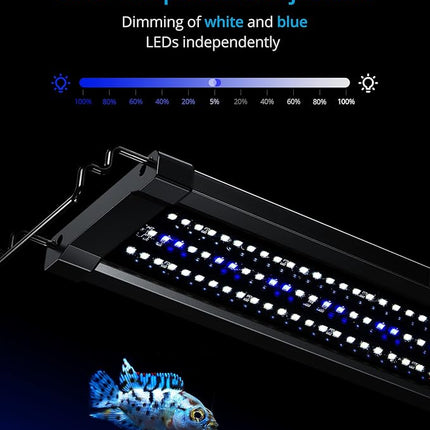 NICREW ClassicLED Gen 2 Aquarium Light, 25 Watts, Dimmable LED Fish Tank Light with 2-Channel Control, White and Blue LEDs, Size 30 to 36 Inch