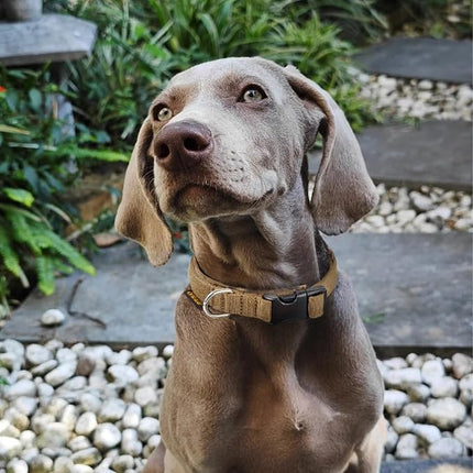 EXCELLENT ELITE SPANKER Nylon Puppy Dog Collar Adjustable Soft Padded Collar Heavy Duty Quick-Release Buckle Lightweight No-Choke for Small Medium Dogs