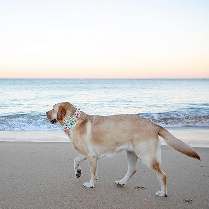 Elegant little tail Dog Collar, Dog Collar with Flower Boy Girl Pet Collar Flowers Soft Durable Dog Flower Collar for X-Small Dogs