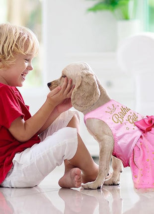 Birthday Dog Dress, Princess Dog Dress Tulle Puppy Skirt Doggie Birthday Outfit Pink Clothes for Small Dogs, Cat Pet Apparel (Small, Birthday)