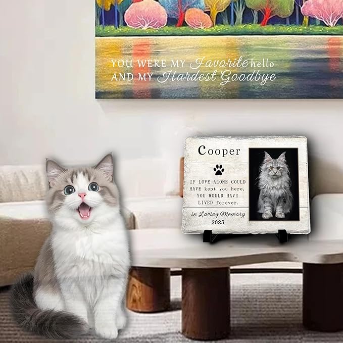 Personalized Pet Memorial Stone, Custom Dog Memorial Gifts for Loss of Cat with Photo Name Date, Cat Remembrance Gift, Loss of Dog Sympathy Gift for Dog Cat Lovers (Quote 9)