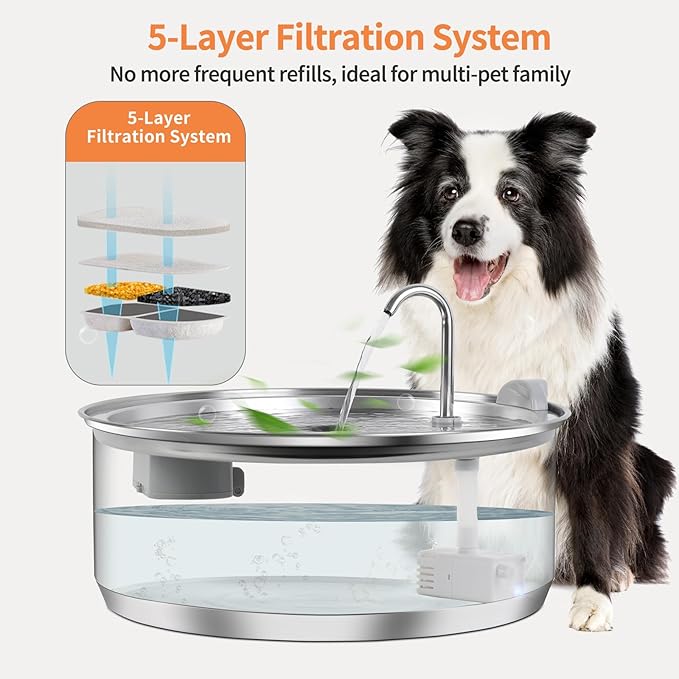 8L/2.1G Dog Water Fountain for Large Dog, Dreamocean Dog Water Bowl Dispenser Stainless Steel Pet Water Fountain, Water Dispenser for Dogs with 2 Ultra Quiet Pump for Multiple Pets with 12 Filters