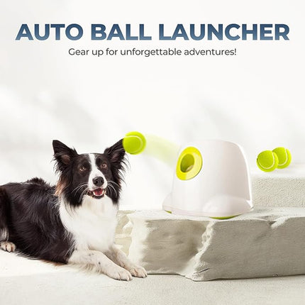 ALL FOR PAWS Automatic Ball Launcher for Dogs Interactive Puppy Pet Ball Outdoor Thrower Fetch Machine, 6 Balls Included (2.5 inch) for Medium to Large Dogs, Rechargeable Battery