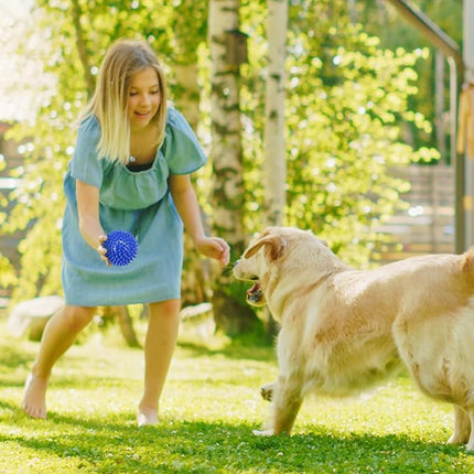 3.5" Spike Dog Balls With Squeaky, Thicker and Durable, 2 Pack Chew Toys for Teeth Cleaning and Training, Ball Toys for Aggressive Chewers, Puppy Small Medium Large Dogs