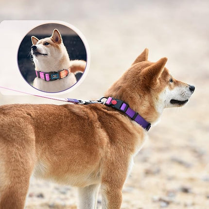 Roses&Poetry Reflective Dog Collar and Leash for Large Dogs, Purple Collars with Leashes Set, Adjustable Durable Pet Personalized Collars Leash for Medium Large Dogs （Mistyrose-L