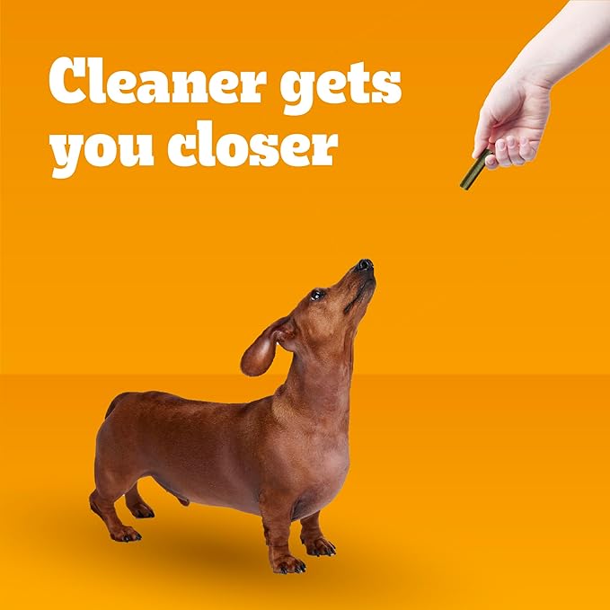 Pedigree Dentastix Small and Toy Breed Dog Treats, Fresh Flavor, (4) 51ct Bags (204 Treats Total)