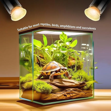 6-Pack 25W UVA Bulbs, Light Turtle Heat Lamp for Reptiles and Amphibian Tanks, Terrariums and Cages, Fit E26 Heat Reptile Lamp,Works with Various Lamp Fixtures