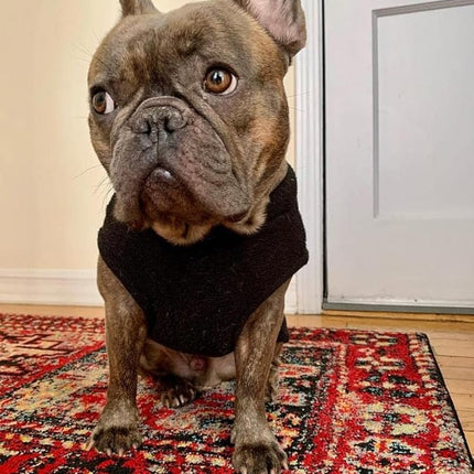 Gooby Stretch Fleece Vest Dog Sweater - Black, X-Large - Warm Pullover Super Stretchy Fleece Dog Jacket for Small to Large Dogs