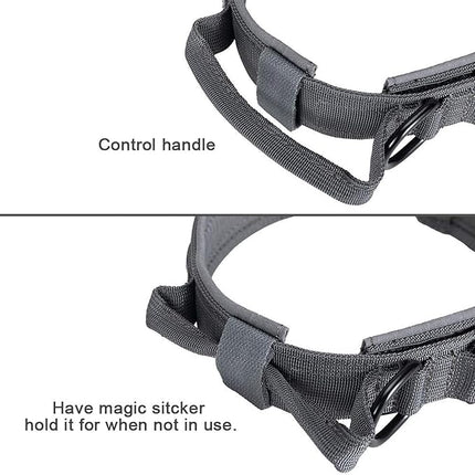EXCELLENT ELITE SPANKER Tactical Dog Collar Nylon Adjustable Training Collar Military Dog Collar Heavy Duty Metal Buckle with Control Handle for Medium and Large Dogs with Patches (Grey-L)