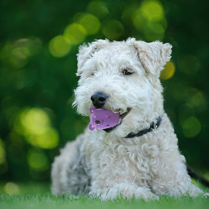 Jalousie 2.4 in Small Latex Dog Squeaky Toys - Soft Rubber Puppy Chew Toy, Animal Ball for Fetch Play - Small Medium Pets (Animal 5 Pack - Small)