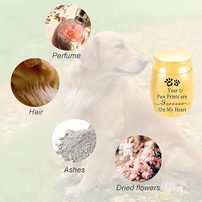 Small Pet Urns for Dogs Ashes Mini Urn Dog Ashes Cremation Keepsake Pet Memorial Urns Gift， Gold