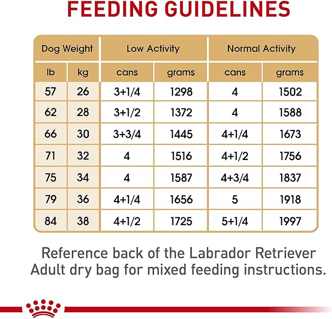 Royal Canin Breed Health Nutrition Labrador Retriever Adult Loaf in Sauce Dog Food, 13.5 oz (Pack of 12)