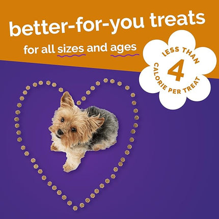 Fruitables Skinny Minis Dog Treats, Healthy Pumpkin Treat for Dogs, Low Calorie & Delicious, Puppy Training, No Wheat, Corn or Soy, Made in The USA, Rotisserie Chicken Flavor, 5oz (Pack of 2)