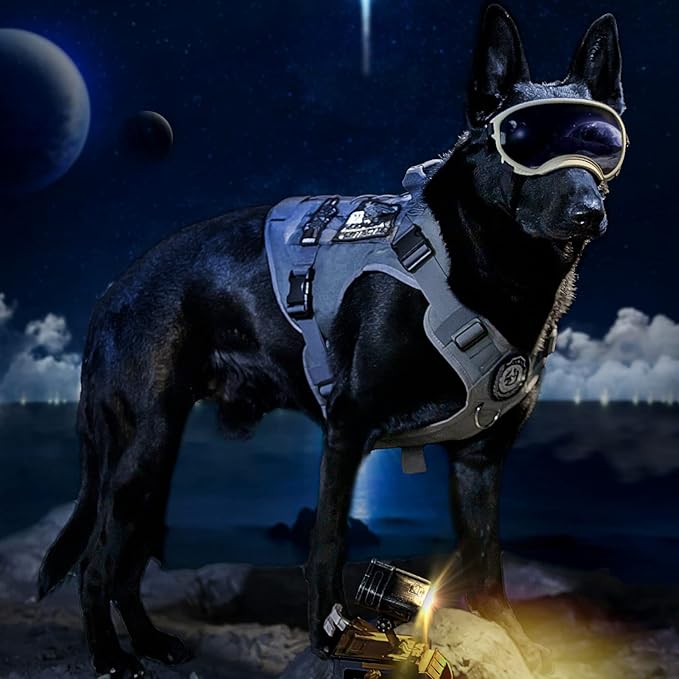 Tactical Dog Training Vest No Pull Harness for Dogs,Adjustable Dog Hiking Harness Working Vest(Grey,M)