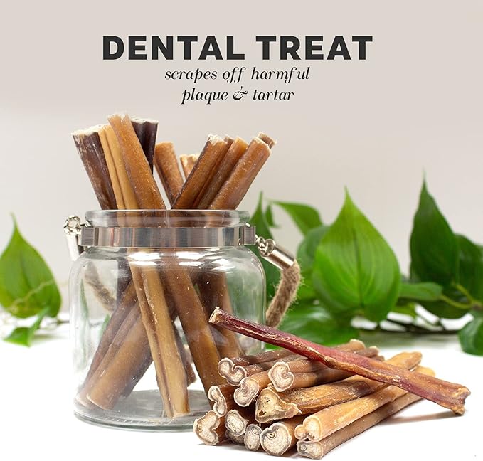 Downtown Pet Supply Bully Sticks for Dogs - Natural 6 Inch Beef Chews, Odor-Free & Rawhide-Free, Long Lasting Dog Treats for Aggressive Chewers - Healthy, Safe & Delicious Chews Dogs Love (100 Pack)