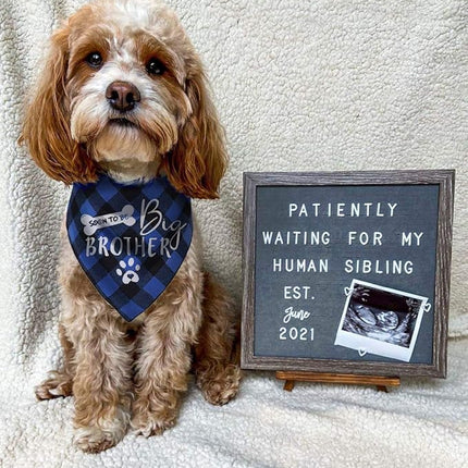 Big Brother Dog Bandana, Reversible Plaid Triangle Bibs Pet Scarf