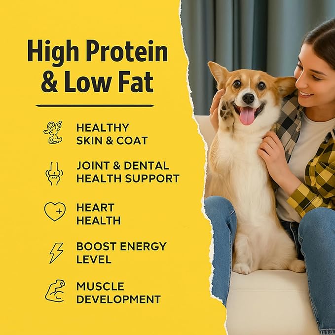 Ruff Town Dog Treats - Chicken Jerky for Dogs | Dehydrated Chicken Breast | Training Treats | Human Grade, High Protein, Single Ingredient | Grain-Free, Hypoallergenic | All Breeds, Made in USA, 4 oz