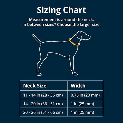 Ruffwear, Front Range Dog Collar, Adjustable Tubelok Webbing, Lightweight, Side Release Buckle, Aluminum V-Ring, Durable for Everyday Use, Sweeping Sage, 11"-14"