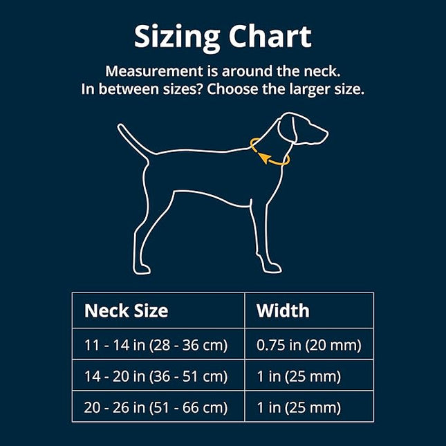 Ruffwear, Front Range Dog Collar, Adjustable Tubelok Webbing, Lightweight, Side Release Buckle, Aluminum V-Ring, Durable for Everyday Use, Moonlight Fade, 11"-14"