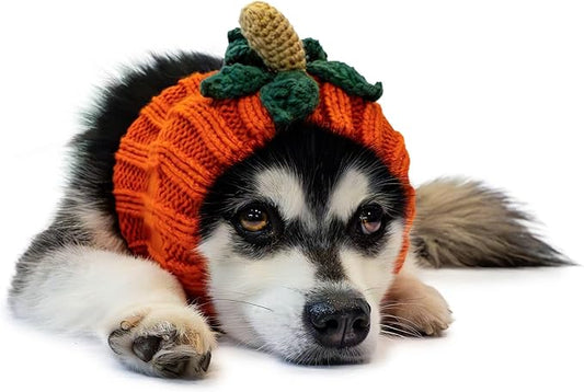 Zoo Snoods Pumpkin Dog Costume - Warm Crochet Snood Wrap for Pets, Neck Ear Cover Protection, Halloween Winter (Medium)