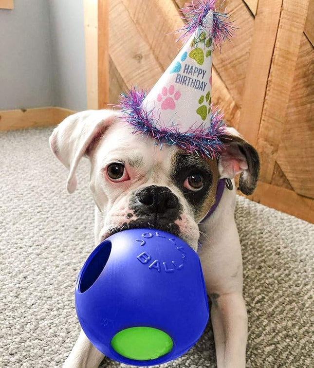 Jolly Pets Teaser Ball Dog Toy, Medium/6 Inches, Blue, Jolly Pets 6-Inch Teaser Ball, Blue