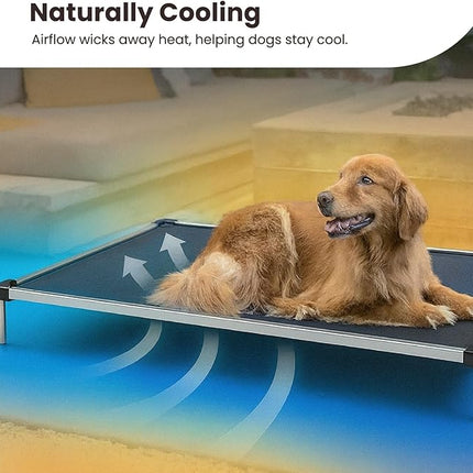 K9 Ballistics Chew Proof Elevated Cooling Outdoor Cot Bed for Small Dogs & Puppies - Virtually Indestructible, Preassembled, Withstands Aggressive Chewers - S, Black Mesh