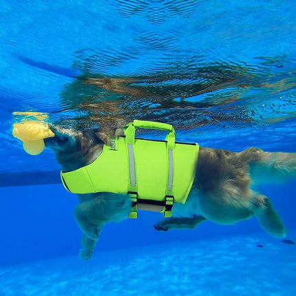 Queenmore Dog Life Jacket,Dog Life Vest for Swimming,XS Dog Swim Vest,Lightweigth Adjustable Reflective Puppy Pet Float Life Preserver Vest with Back Zip,Rescue Handle,Metal Hook (Green XS)