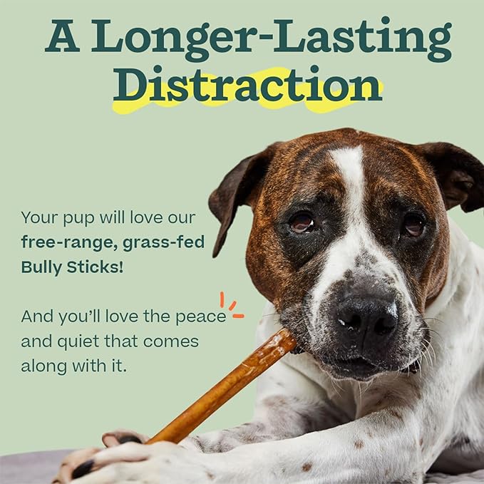 WOOF Bully Sticks Dog Treats - Chew Sticks for Dogs - Long-Lasting Dog Chew Treats - Made with Free-Range, Grass-Fed Beef - 6" Sticks - 25pk