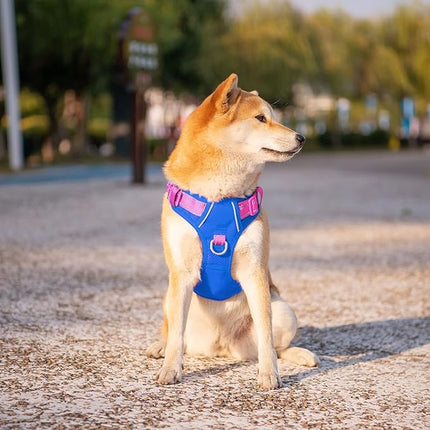 PHOEPET No Pull Dog Harness, Unique Colors Reflective Adjustable Dog Vest, with Soft Training Handle Metal Clips for Small Medium Large Dogs (Royal Blue Base & Pink Straps,L)