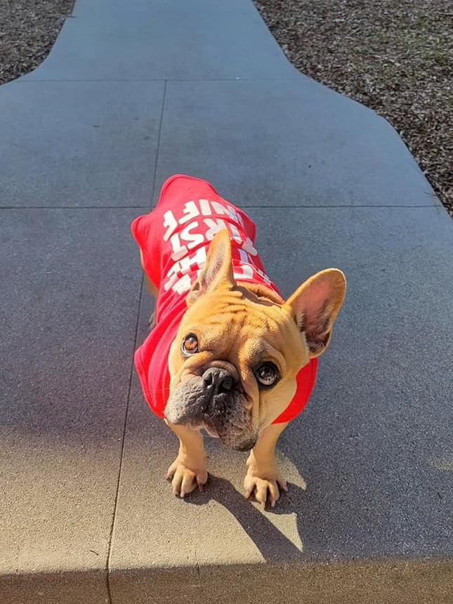 Fitwarm Love at First Sniff Dog Shirt - Summer Dog Clothes, Funny T-Shirt, Lightweight Breathable Cotton, Red, Small