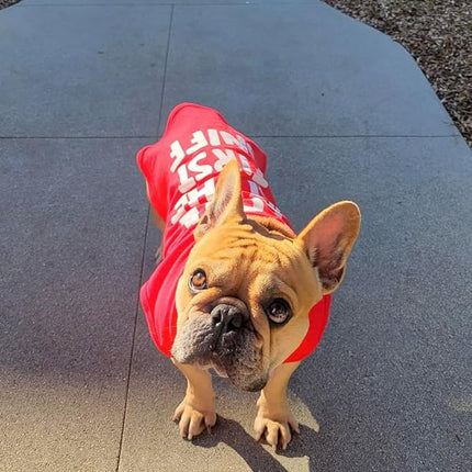 Fitwarm Love at The First Sniff Shirt, Valentines Outfit, Summer Clothes for Small Dogs Boy Girl, Funny Tshirt, Lightweight Breathable Cotton, Pet Cat Outfit, Red, XXL