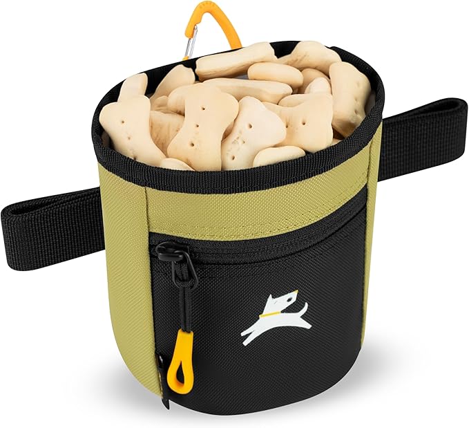 OllyDog Goodie Treat Bag, Dog Treat Pouch, Waist Belt Clip for Hands-Free Training, Magnetic Closure, Dog Training and Behavior Aids, Three Ways to Wear (Alchemy)