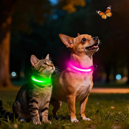 Light up Collar for Small Dog,Vizpet XS Adjustable Size Nylon Collar USB Rechargeable Bright Safety Pet Collar for Cats Small Dogs (Green, X-Small[ 8.66-11.9 inch/22cm-30cm])