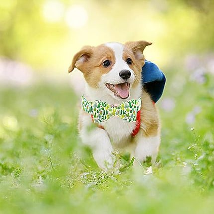 Lionheart glory Dog Bow Collar Green Cactus Print Collars for X-Small Dogs,Spring Summer Cute Dog Collar with Bowtie Puppy Collars Bows Pet Gift