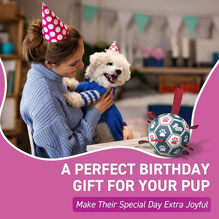 QDAN Dog Balls, World Cup Soccer Ball with Straps, Durable Herding Balls for Small Medium Pet, Puppy Birthday Gifts, Dog Water Toy, Pet Toys Puppy Ball (6 Inch)