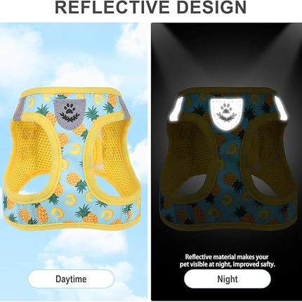 EXPAWLORER Dog Harness and Leash Set - Cute Puppy Harness Leash Dog Collar with AirTag Holder Silicone Case, Soft Padded Step in Pet Vest Reflective for Outdoor Walking, Pineapple L