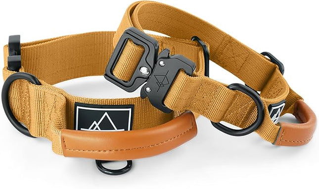 Made to ROAM Premium Explorer Control Collar - Adjustable Heavy Duty Nylon Dog Collar with Quick-Release Metal Buckle and Handle (Michigan Autumn, Control Size 4)