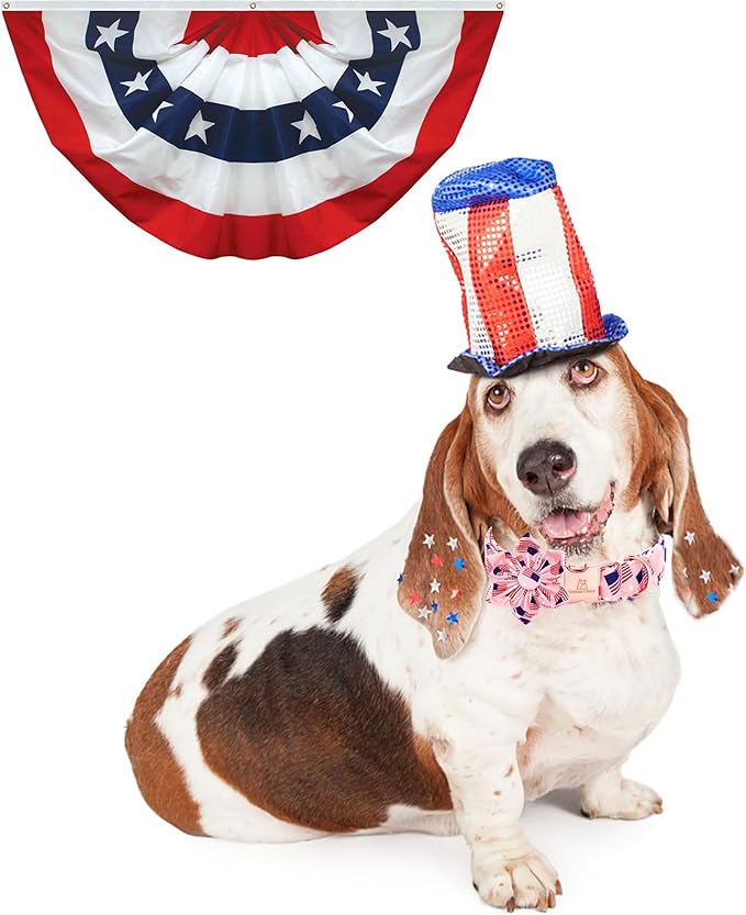 Lionheart glory American Flag Dog Collar 4 of July Dog Collars with Flower Independence Patriotic Dog Flower Collars Heavy Duty Adjustable Collar Flower for Medium Dogs Pet Gift