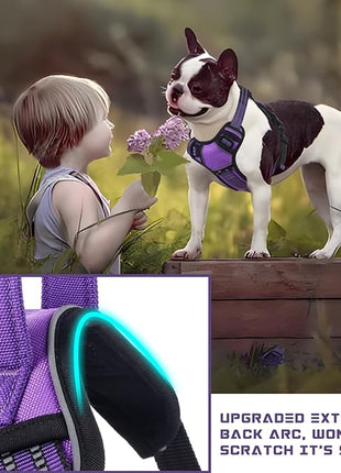 BUMBIN Dog Harness for Large Dogs, No Pull Adjustable No Choke Pet Vest with Dog Leash Fit Smart Reflective Pet Walking Harness for Training Easy Control Soft Handle Purple S