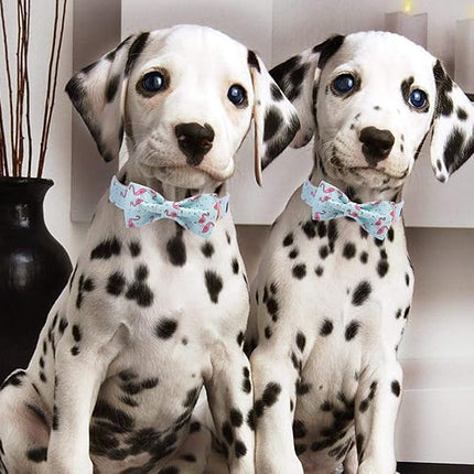 ARING PET Bowtie Dog Collar Adjustable Collars with Bow Tie for Dogs Small Medium Large