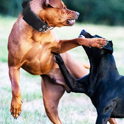 Dog Collar for Large Dogs - 2 in Black Collars with Handle for Extra Large Breed Dogs, Heavy Duty K9 Nylon Pet Tactical Collar XL, Best Choice for Pitbull Doberman Rottweiler 17"-22"