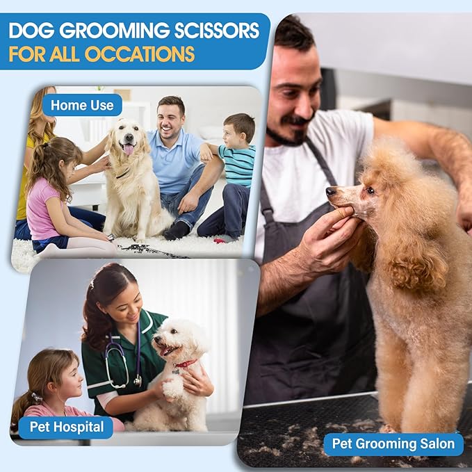 JASON Professional 6 in 1 Dog Scissors Kit - 7.5" Thinning, Chunker, Straight, Curved Shears and Comb for Cat, Rosegold