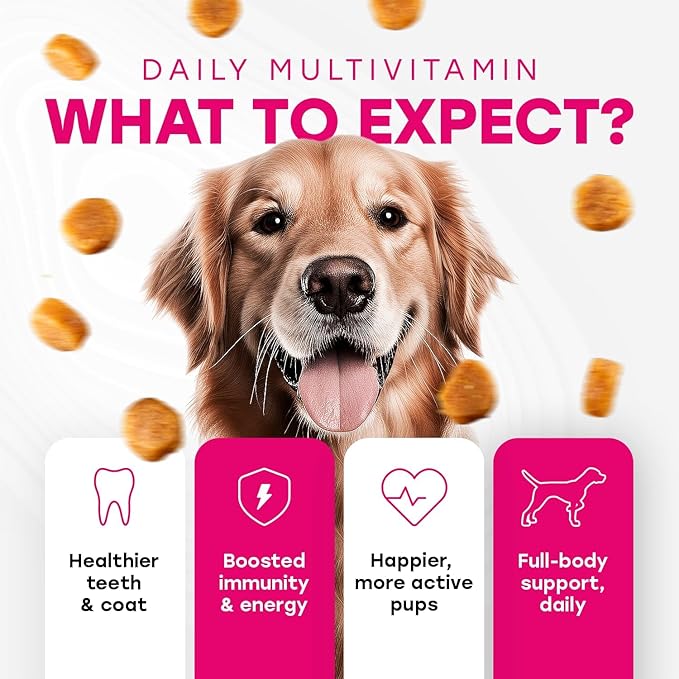 24-in-1 Complete Multivitamin Treats for Dogs – 8 Vitamins, Biotin, Probiotics, Glucosamine – Daily Wellness, Immune Support, Skin & Coat, Mobility – 140 Treats – Bacon Flavor – Made in USA