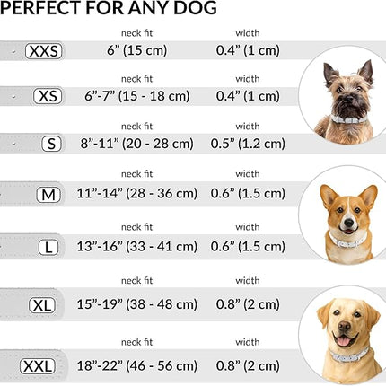 CollarDirect Rolled Leather Dog Collar, Soft Padded Round Puppy Collar, Handmade Genuine Leather Collar Dog Small Large Cat Collars 13 Colors (6 Inch, White Smooth)