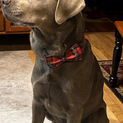 Lionet Paws Christmas Dog Collar with Bowtie, Dog Bowtie Collar with Metal Buckle for Dogs, Adjustable Comfortable Dog Collar Girl Boy Gift, XL, Neck 16-26 in
