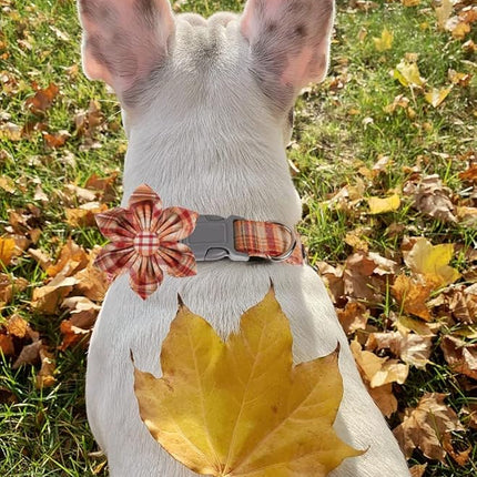 Lionet Paws Fall Dog Collar with Orange Flower, Plastic Buckle for Puppy Small Dog Girl Female Halloween Thanksgiving Day Gift,M,13.5-22 in