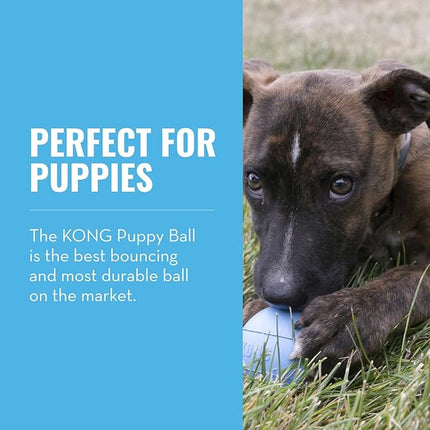 KONG Puppy Ball w/Hole - Soft & Durable Activity Ball for Puppies - Dog Toy Supports Healthy Exercise & Interactive Play - for Natural Teething - for Medium/Large Puppies - Randomly Provided Color