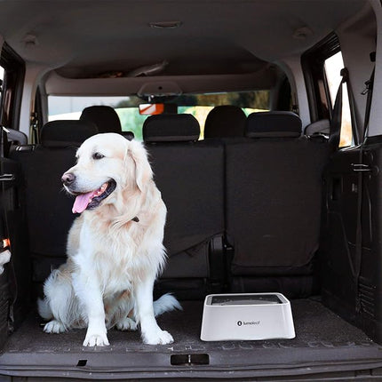 LumoLeaf No Spill Water Bowl for Dogs with Filter, 70oz/2L, Slow Feeder for Messy Drinkers, Drip-Free & Splash-Proof Design (Grey, 70 fl oz) (Grey 70 fl oz)