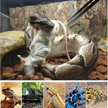 Snake Feeding Tongs, 2Pcs Ball Python Tweezers fit Leopard Gecko, Snakes, Lizards, Rose Hair Tarantula, Chameleon, Jumping Spider
