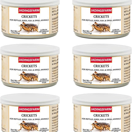 6 Pack Canned Crickets for Reptiles, Fish, Birds and Small Animals, Crickets, Healthy High Protein Treat, Reptile Bird Fish Food 1.2 Ounces Each